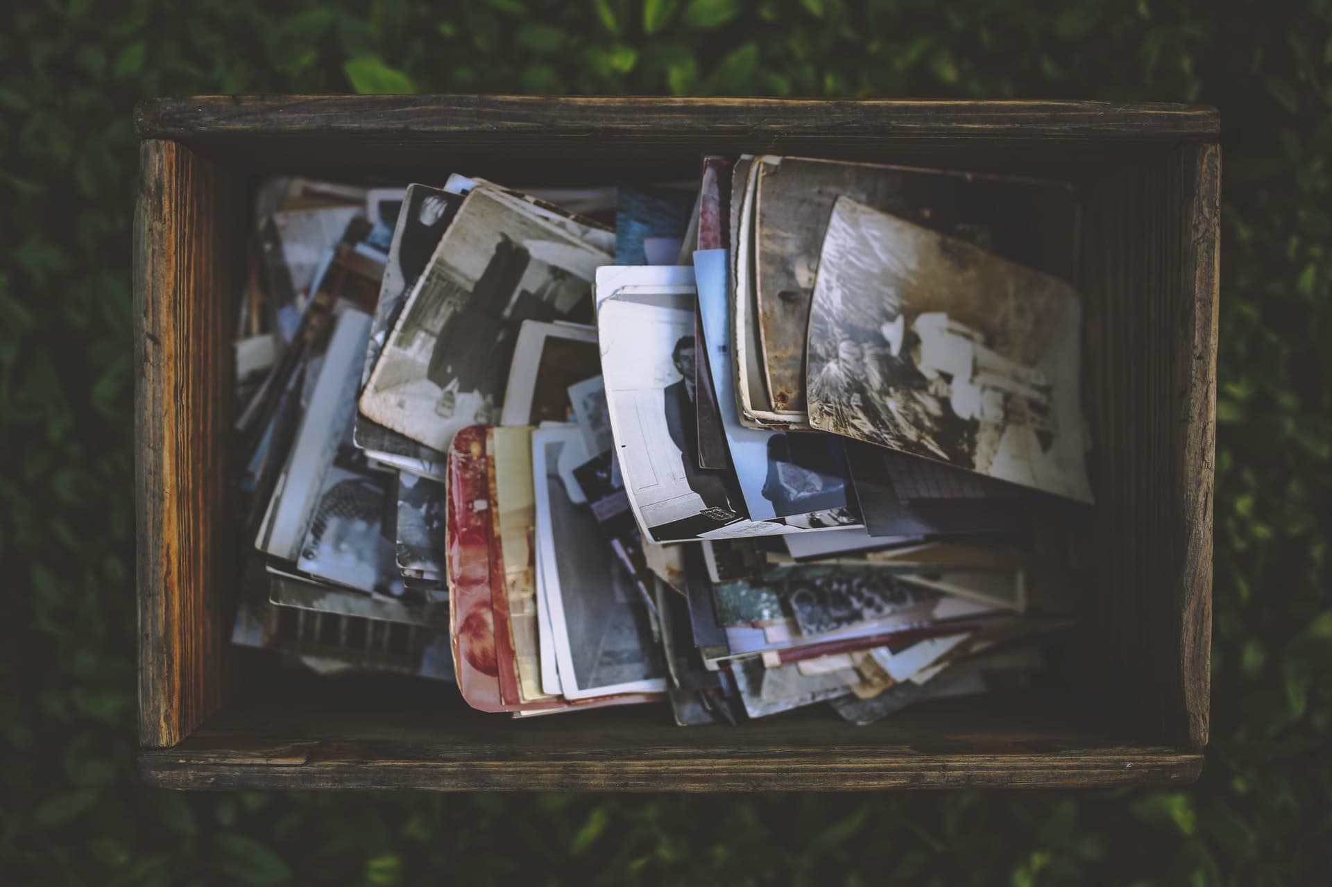 A collection of family photographs